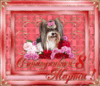 8-марта1.gif