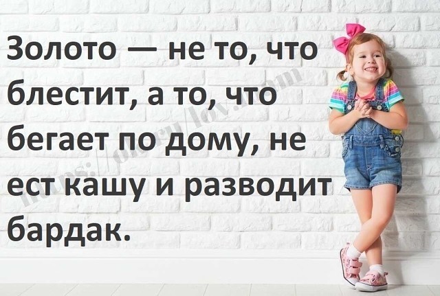 Не все золото что блестит. Золото не то что блестит а бегает по дому. Золото это не то что блестит а то что бегает по дому картинка. Золото не то что блестит а то что бегает. Блестеть.